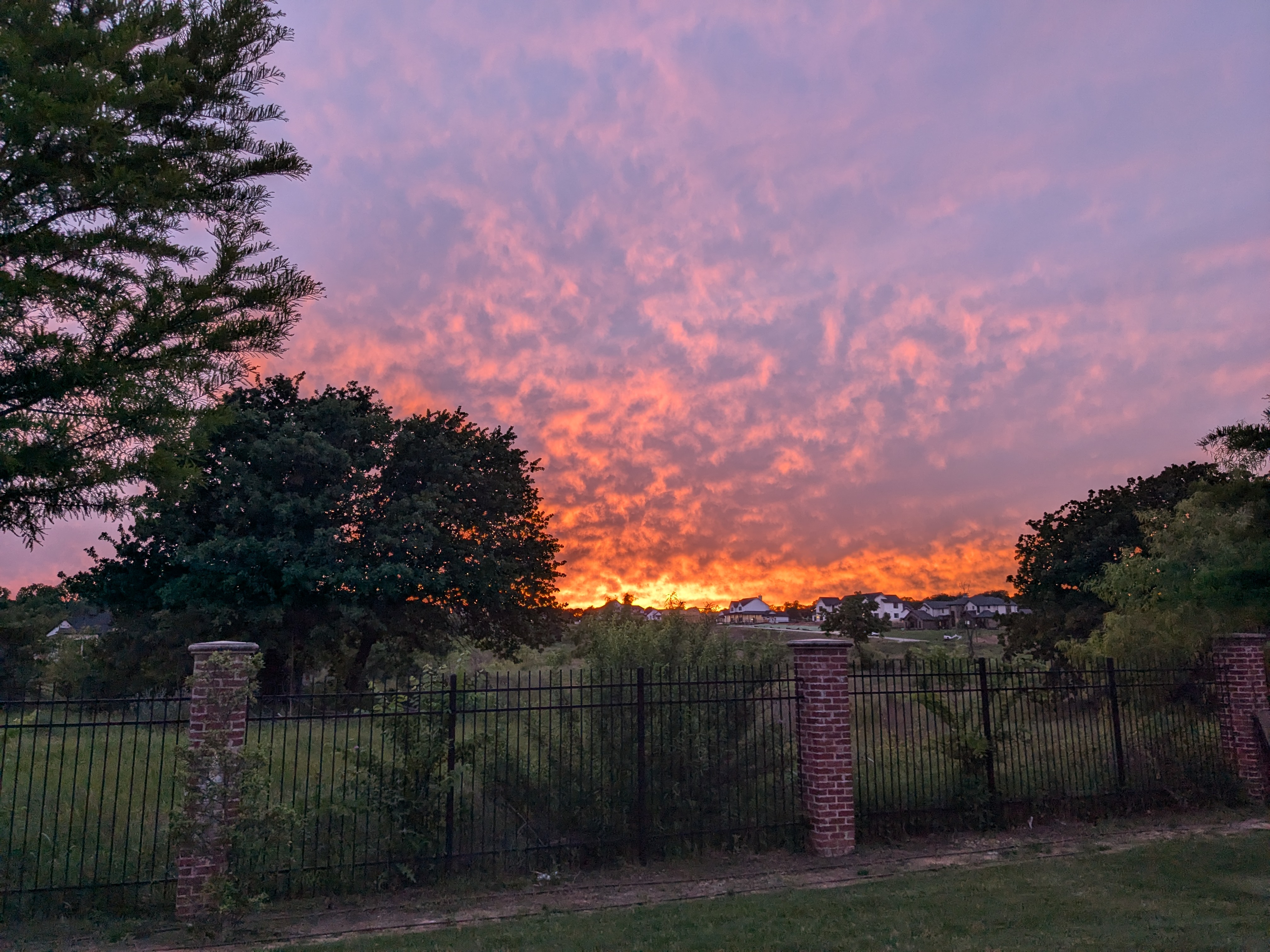 Orange and Pink Texas Sunset